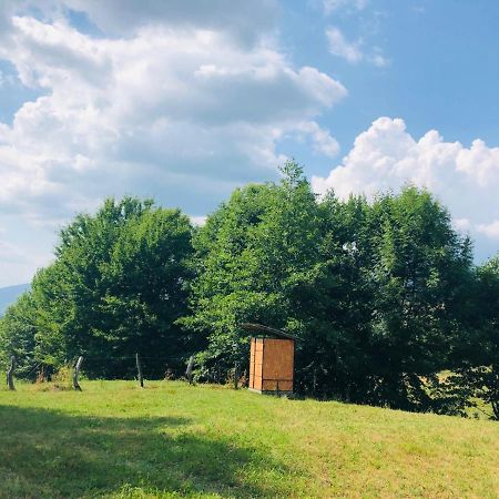 La Container Hotel Curtea De Arges Bagian luar foto