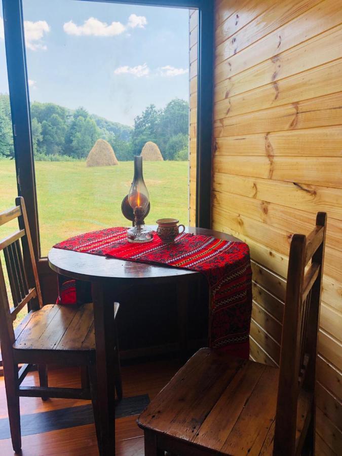 La Container Hotel Curtea De Arges Bagian luar foto
